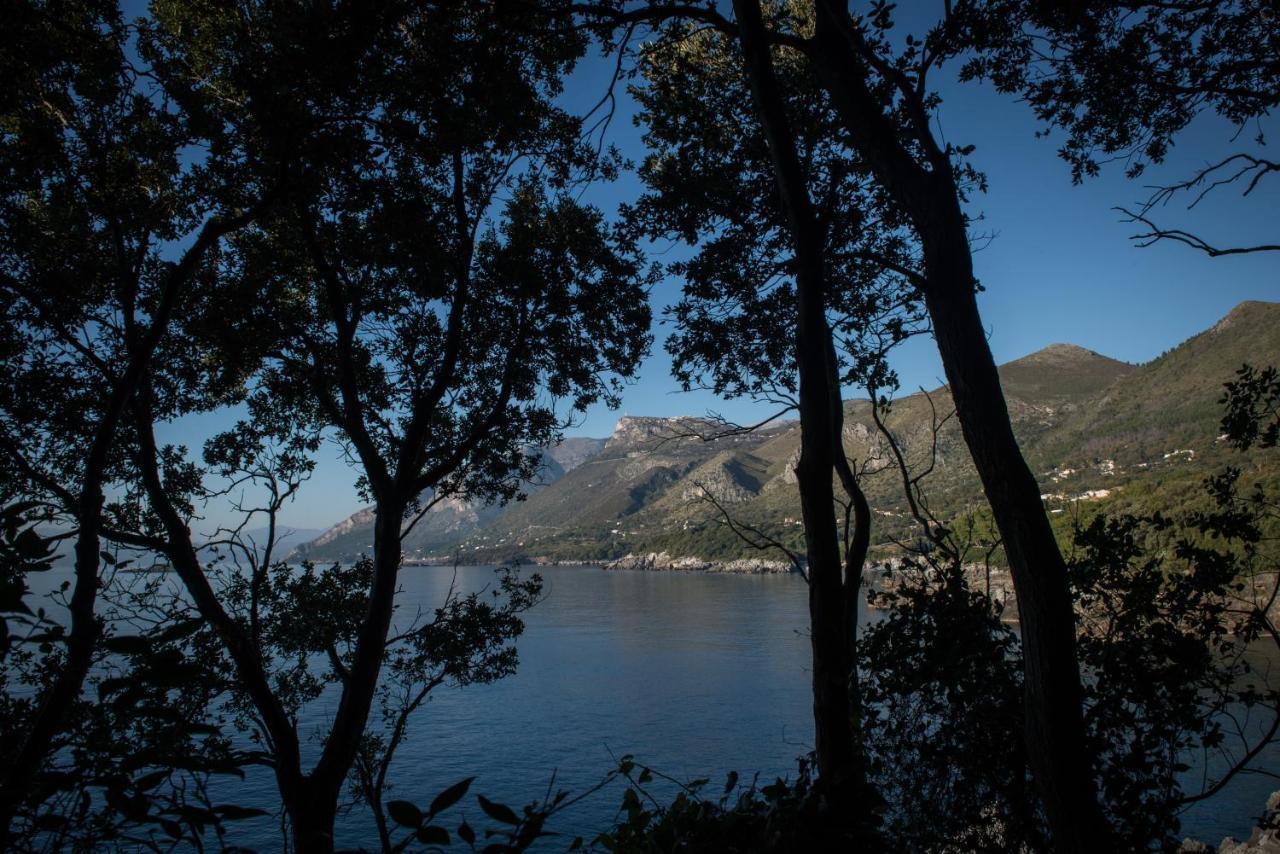 Hotel Amaranto à Maratea Extérieur photo