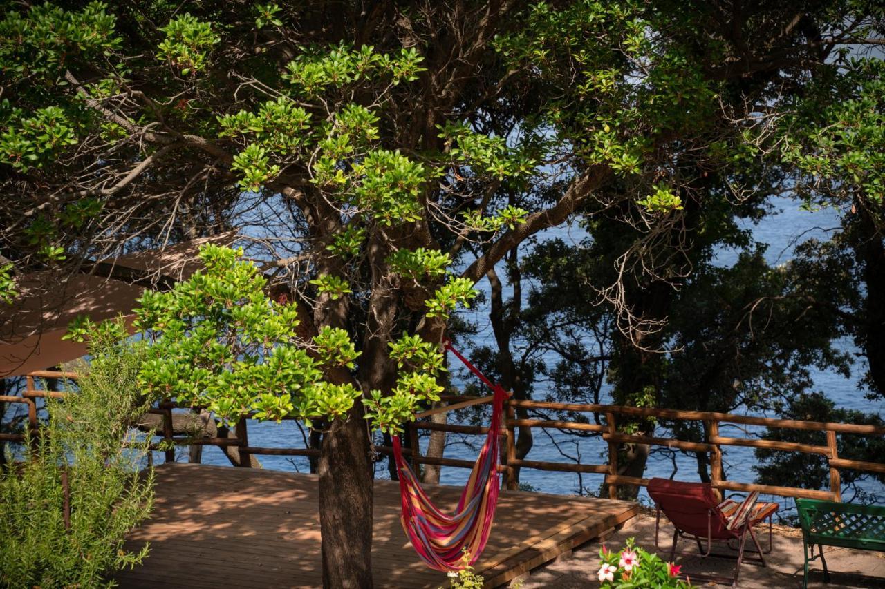 Hotel Amaranto à Maratea Extérieur photo